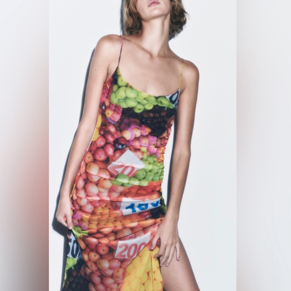 Zara Mesh Fruit Stand Maxi Dress